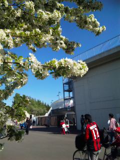 =?ISO-2022-JP?B?GyRCOHxKTCNIJTQhPCVrTiIkYjJWQDkkahsoQjEuag==?= =?ISO-2022-JP?B?cGc=?=.jpg