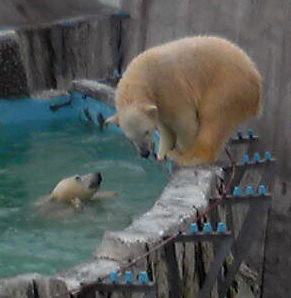 =?ISO-2022-JP?B?GyRCJSQlMyVtJS0lbSVrGyhCLmpwZw==?=.jpg