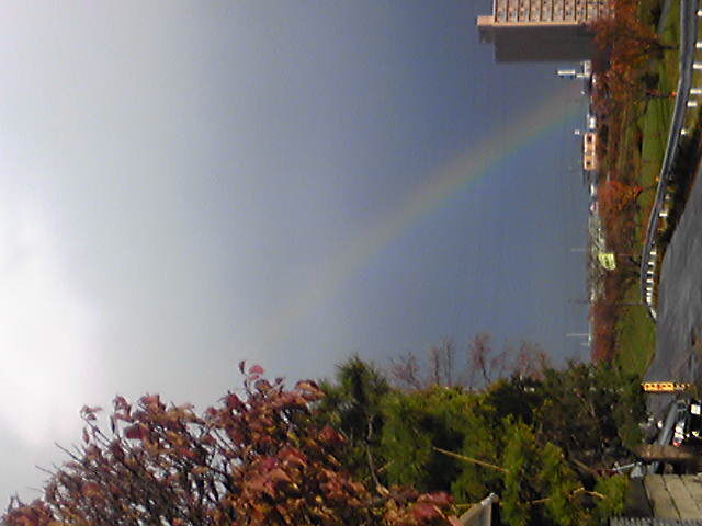 091115_140515.jpg