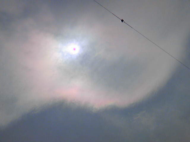 100503_133140.jpg