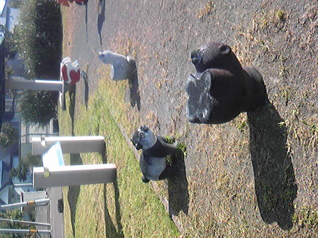 =?ISO-2022-JP?B?GyRCQ2YkTkBuSzUkTk03NnEbKEIuSlBH?=.jpg