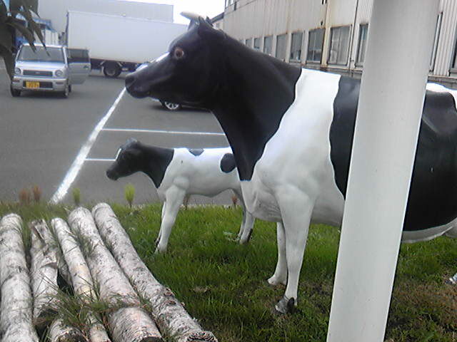 =?ISO-2022-JP?B?GyRCP0Y7UiRONW0bKEIuSlBH?=.jpg