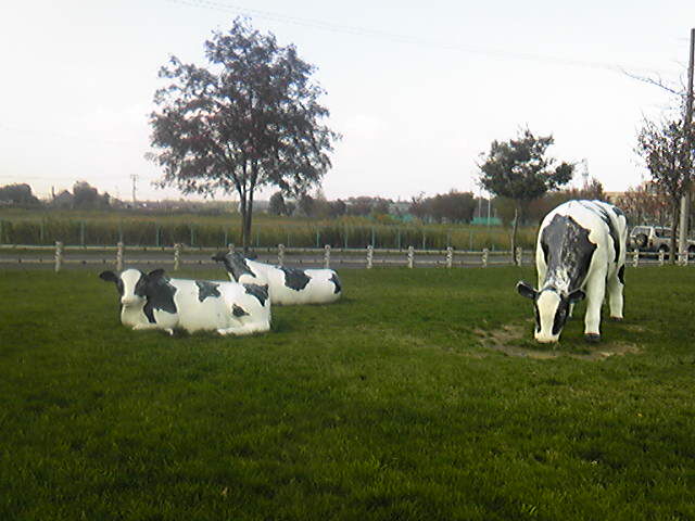 =?ISO-2022-JP?B?GyRCNW07MEYsGyhCLkpQRw==?=.jpg