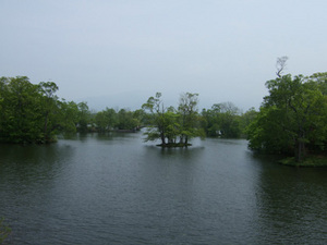 沼1