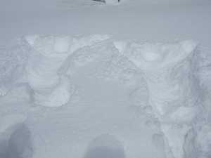 雪の妖精