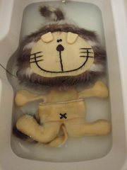 がんちゃん