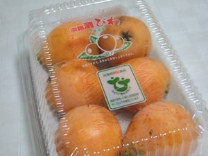 biwa