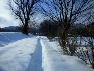 2015010218440000.jpg