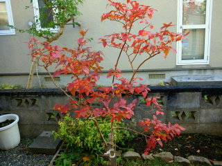 2016103018290000.jpg