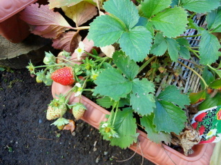 2016103018300000.jpg