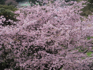20080324-00.JPG