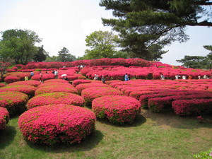 20080501-00.JPG
