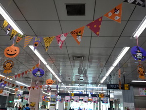 1574399422-DSC00268.JPG