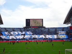 1574407785-DSC00306_1.JPG