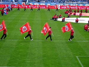 1574408391-DSC00322_1.JPG