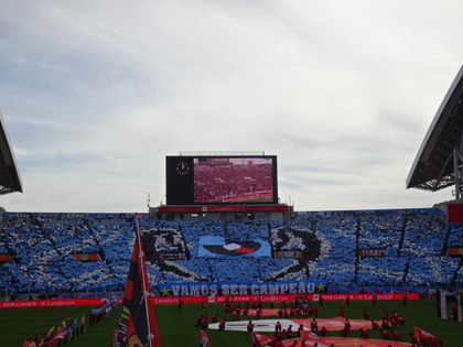 1574408498-DSC00325_1.JPG