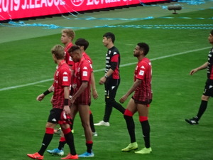 1575180242-DSC00343_1.JPG