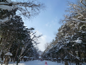 神宮の参道