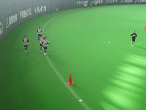 来た来たーーー