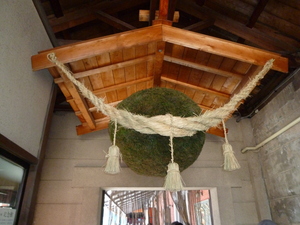 杉玉です。これが茶色に変わったら…お酒ができます