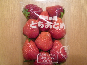ほらっ。美味しそうでしょ♪