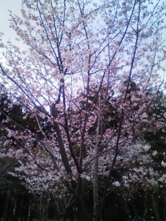 20110507134613.jpg