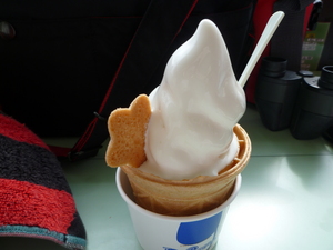 融けてる～急げ～