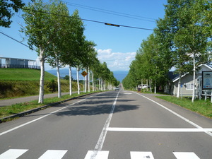 実は道路の真ん中に立って写してﾏｽ。轢かれるな～