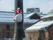 サンタさん。今年も来たよ～☆