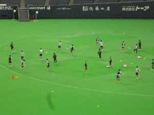 小さ過ぎて双眼鏡が離せませんでした
