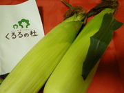 道産子ならトウモロコシじゃなくてトウキビでしょｗ
