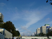 空が高～い。もう秋なんですねぇ