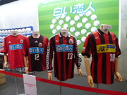 1367652712-P1050702.JPG