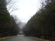 1367914427-P1050760.JPG