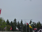 1369039828-P1050782.JPG