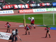1369644855-P1050815.JPG