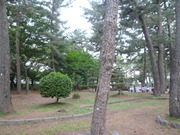 1372778689-P1050997.JPG