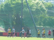 1373962469-P1060139.JPG