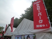 1381159358-P1060690.JPG