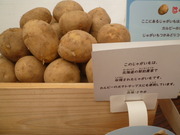 1381159381-P1060692.JPG