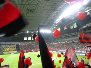 1383667361-P1060908.JPG