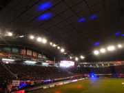 1394431513-P1070286.JPG