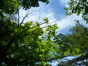 1401633676-P1070626.JPG