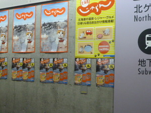 1415581460-P1080664.JPG