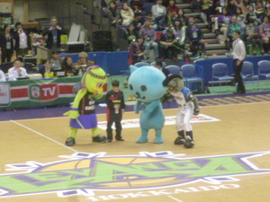 1424312053-P1090014.JPG