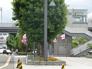 1439865732-DSC00492.JPG