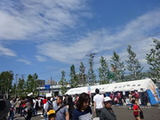 1441078604-DSC00639.JPG