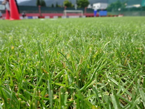 1441078649-DSC00648.JPG