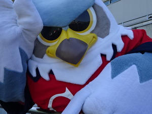 1441180246-DSC00568.JPG