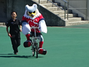 1441180258-DSC00576.JPG